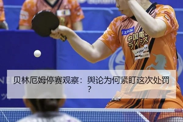 bei-lin-e-mu-ting-sai-guan-cha-yu-lun-wei-he-jin-ding-zhe-ci-chu-fa-2-897.jpg