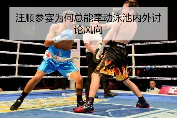 wang-shun-can-sai-wei-he-zong-neng-qian-dong-yong-chi-nei-wai-tao-lun-feng-xiang-2-928.jpg